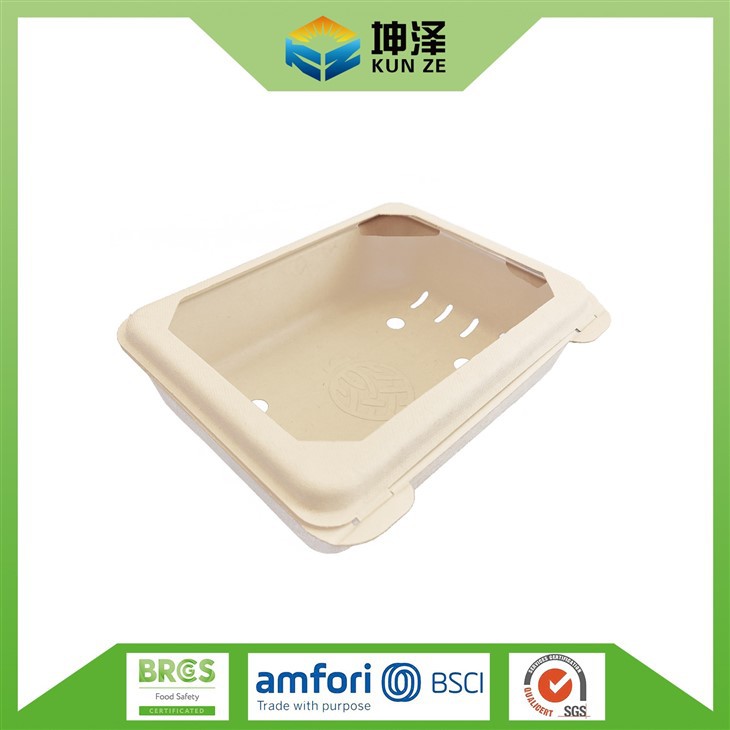 Biodegradable Fruit Punnets