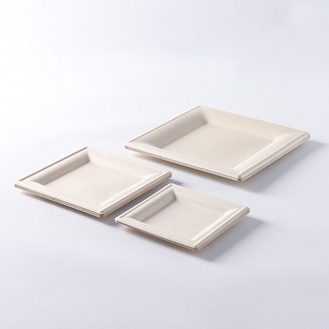 Disposable Cake Plate suppliers