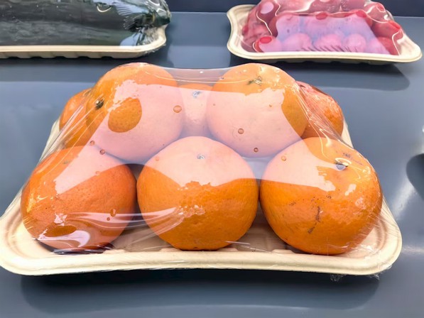 bamboo fiber food tray 04 bamboo fiber food tray 04