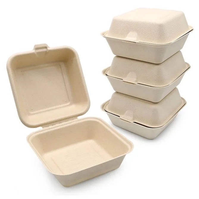 Banbou Fibre Bento Box