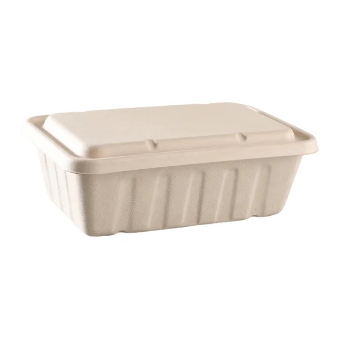 Disposable Packaging Box