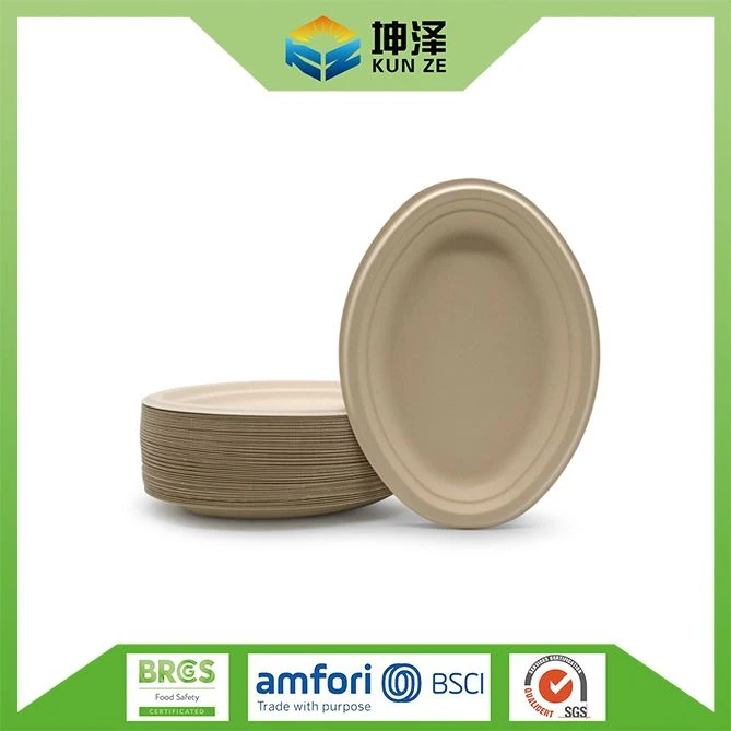 Sugarcane Plate